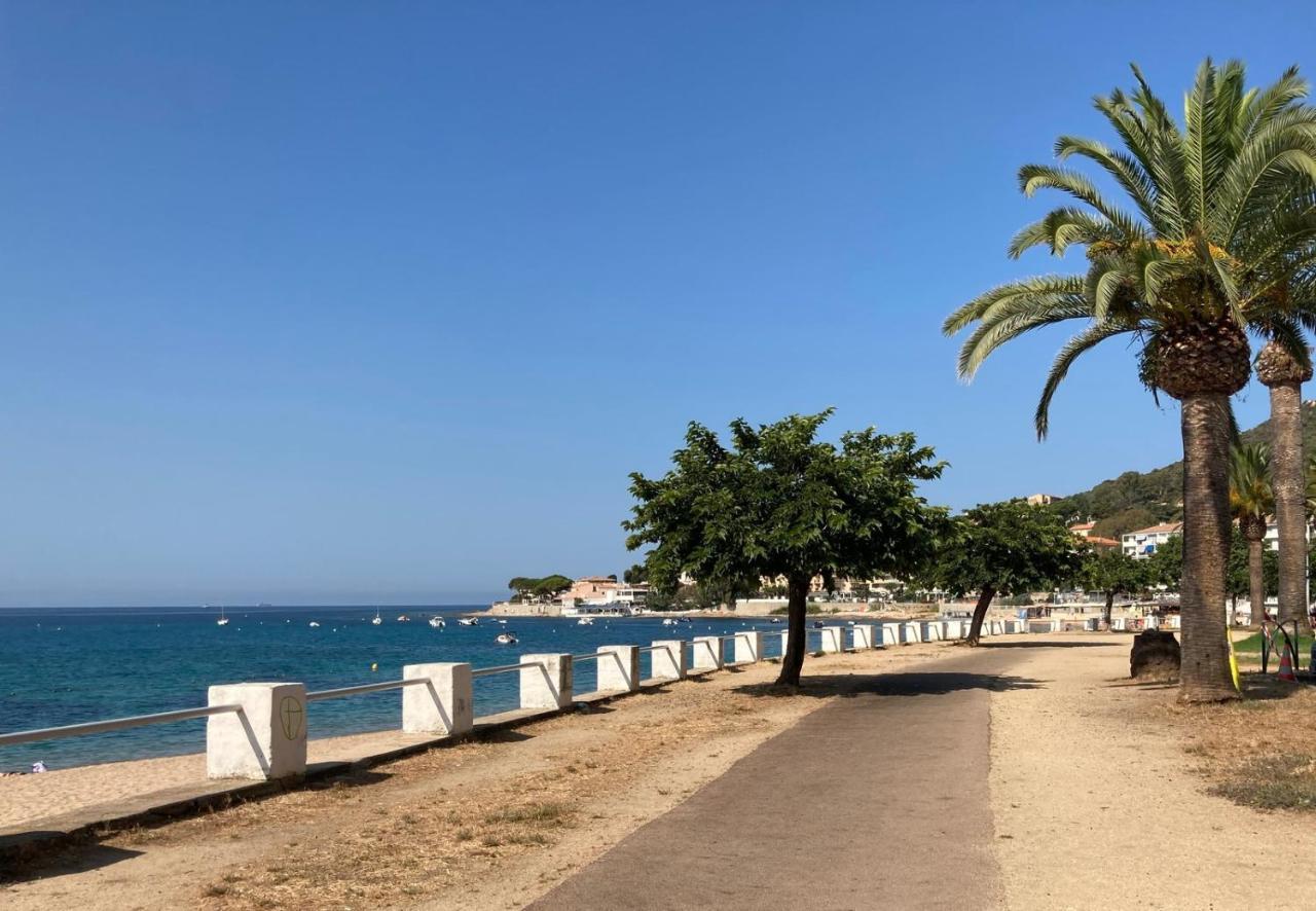 Appartement 50M2 Pied Dans L'Eau Αζάτσιο Εξωτερικό φωτογραφία