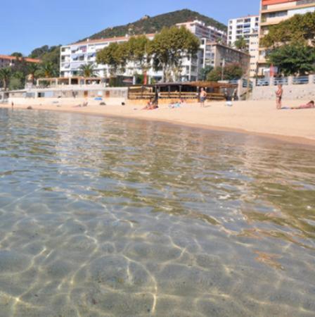 Appartement 50M2 Pied Dans L'Eau Αζάτσιο Εξωτερικό φωτογραφία