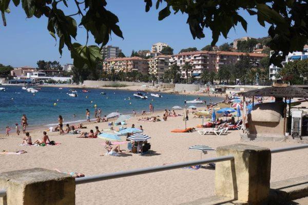 Appartement 50M2 Pied Dans L'Eau Αζάτσιο Εξωτερικό φωτογραφία