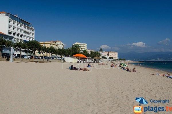 Appartement 50M2 Pied Dans L'Eau Αζάτσιο Εξωτερικό φωτογραφία