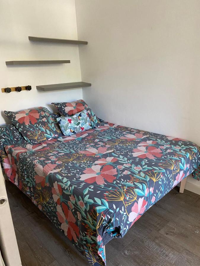 Appartement 50M2 Pied Dans L'Eau Αζάτσιο Εξωτερικό φωτογραφία
